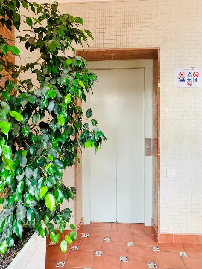 Appartement Book Caballo Blanco